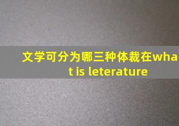 文学可分为哪三种体裁在what is leterature